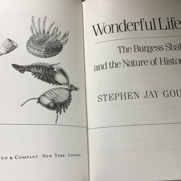 Wonderful Life The Burgess Shale and the Nature of History - Picture 3 of 3